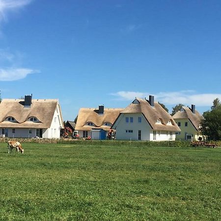 Reetdachhaeuser Boergerende Eksteriør billede